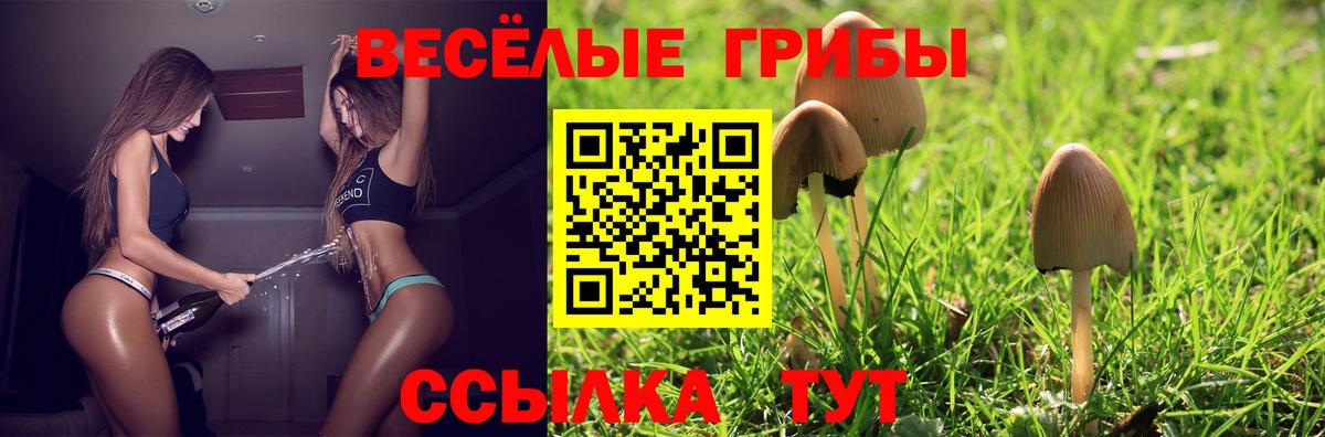 сколько стоит  Вход с VPN  Мелеуз  Галлюциногенные грибы Psilocybe 